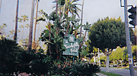 91.jpg