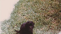 IMG_20251213_0010.jpg