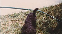 IMG_20251213_0011.jpg