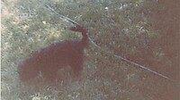 IMG_20251213_0012.jpg