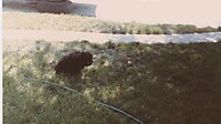 IMG_20251213_0013.jpg