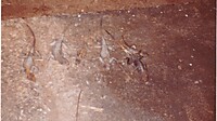 IMG_20251213_0023.jpg