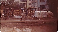 IMG_20251213_0089.jpg