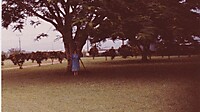 IMG_20251213_0098.jpg