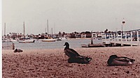 IMG_20251210_0003.jpg