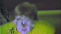 vlcsnap-2025-11-11-11h49m40s127.png