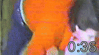 004 JD gets Snickers.mp4