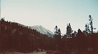 IMG_20251212_0005.jpg