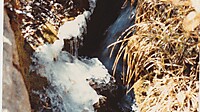 IMG_20251212_0008.jpg