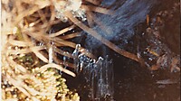 IMG_20251212_0010.jpg