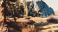 IMG_20251212_0011.jpg