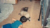 1990ish David Cat 0.jpg